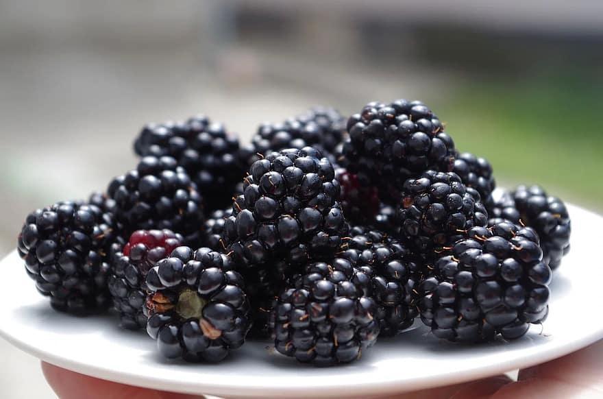 blackberries on a plate black fruit meal fresh